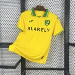 Norwich City Home 2025-26 Fan Edition