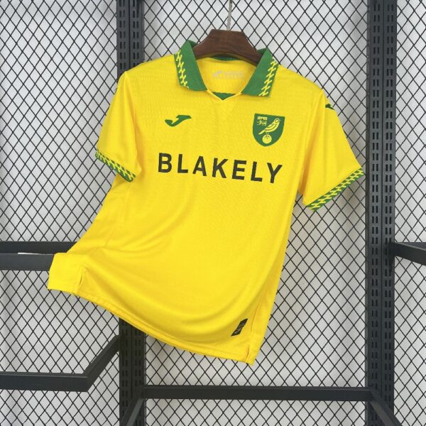 Norwich City Home 2025-26 Fan Edition