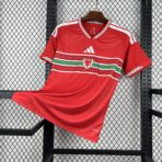 Wales Home World Cup 2026 Fan Edition