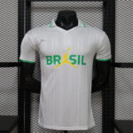 Brazil Jordon 2026-27 Player Edition