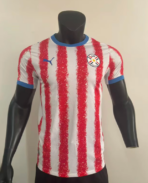 Paraguay Home 2026-27 Player Edition
