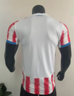 Paraguay Home 2026-27 Player Edition - Image 2